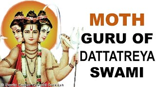 MOTH IS 11TH GURU OF DATTATREYA SWAMI 24 GURUS