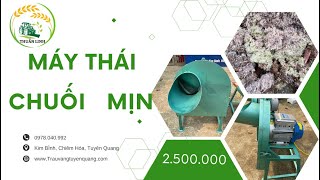 Máy thái chuối mịn mới nhất 2024 giá bao nhiêu