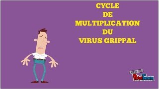 Vidéo Le cycle du virus grippal