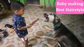 Baby making dog hair style| #funny #dogs #pets #dog #chippiparai #baby #making #lol #doglover #trend