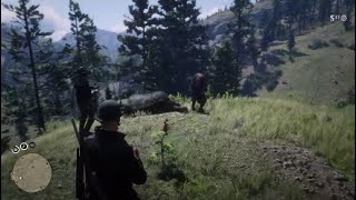 Red Dead Redemption 2 Online funny clip