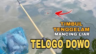 Part2‼️KETAGIHAN MANCING LIAR Di TELOGO DOWO GRESIK | SENSASI STRIKE PEMULA