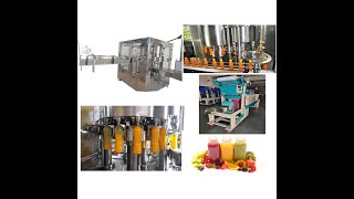 2023 Hot Juice  Rotary 3 in 1 Pet Plastic Bottle Filling Capping Machine Supplier From India