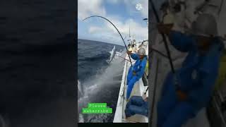 Fastest Fishing | Caching Fish. #shorts