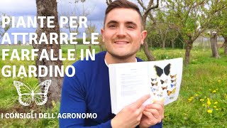 COME ATTIRARE LE FARFALLE NEL GIARDINO: LE PIANTE GIUSTE E I CONSIGLI DELL'AGRONOMO