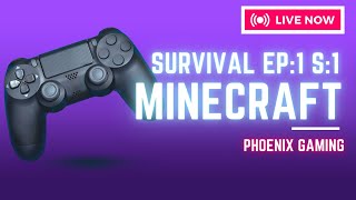 EP:1 S:1 Phoenix Gaming