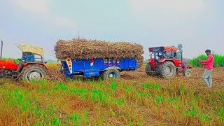 Mahindra Arjun Novo 605 Di || same 403 #tractor #video @welcomeYouTuber9936