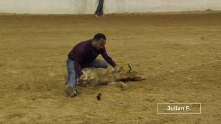 Tie Down Calf Roping #10, #11, and #12 - Round 1