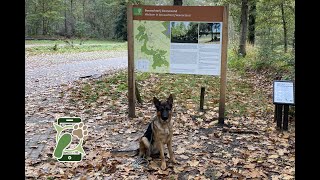 Losloopgebied Sleenerzand Schoonoord Drenthe