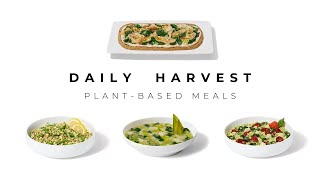 Daily Harvest Meals | What I Will Be Reordering!