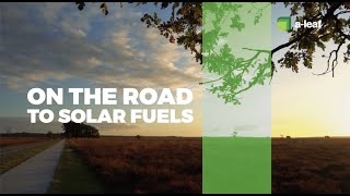 A LEAF - On the road to solar fuels