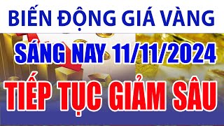 Giá vàng hôm nay 11/11/2024: tiếp tục giảm sâu