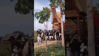 Ritual adat rambu solo' pertama terbesar di Luwu Paccerakan.