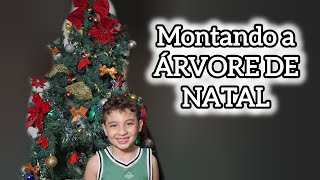 CALENDÁRIO DO ADVENTO - DIA 1 - MONTAR A ÁRVORE DE NATAL - JONAS NETO