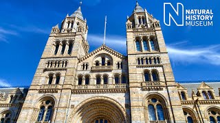 WHAT’S INSIDE THE NATURAL HISTORY MUSEUM LONDON (2019)