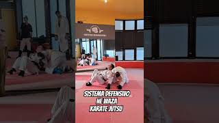 Ne waza no Karaté Jutsu #karate #jutsu #newaza #lutachao