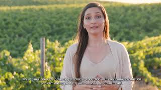 PreVineGrape: A natural and innovative solution for the wine industry