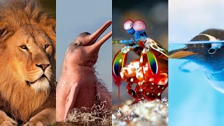 100 datos curiosos que todo amante de la NATURALEZA debe saber, CULTURA GENERAL