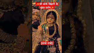 कोई जाए जो वृंदावन| koi jaye jo vrindavan| #radhaKrishna # Bhajan #shyanm