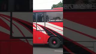 Bis AGRA MAS berangkat menuju wonogiri #bismaniacommunity #videoshort