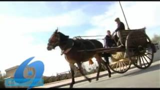 Guadalentín TV #GuadalentínTV Antigua televisión de la comarca de Gadalentín Murcia Promo del canal