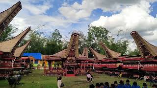 Pa'Badong Untuk Menyambut Tamu Ritual Rambu Solo' TORAJA Bonoran Mantarima Tamu