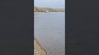 ein #schiff mit Bak fährt zu Berg auf dem #rhein  Teil 1  #shortsvideo #shorts