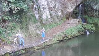 Turista lanza un palo a perro en poza de cascada de Covadonga