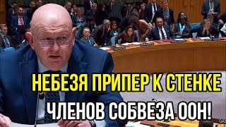 "Выйти сухими из воды уже не получиться": Небензя припер к Стенке членов Совбеза ООН!