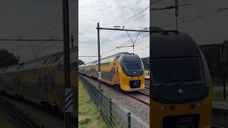 #treinleven virm in Vlissingen Souburg #grijzeneusvirm