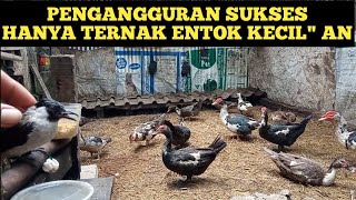 BERHENTI KERJA FOKUS TERNAK ENTOK