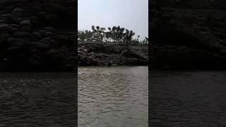 নদীর একুল ভাঙ্গে ওপাড় গড়ে#nature #shorts #river #village