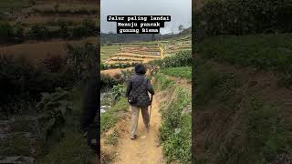 Ladang pertanian di tengah jalur pendakian gunung bisma #shorts #alam #mountains