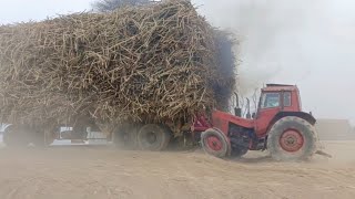 8 Trolley🫣Well Done Belarus Tractor 510.1 First Time in Pakistan 8 Big Trolleys Pulling 1 Tractor🔥