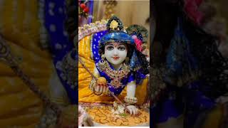 राधे रानी आऊंगा मै वरसाना...... #krishna #radhakrishna #bhakti #bhajan #shorts ❤️🦚💚