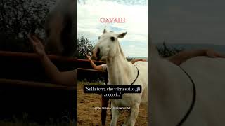 Sulla terra che vibra sotto gli zoccoli #cavalli #animali #aforismi #frasedelgiorno