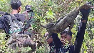 HAMPIR MATI TAK BERDAYA ‼️Lokasi uangel berburu biawak 10 poin