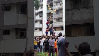 Janmashtami celebration#shorts#subscribe#vlog#lifestyle