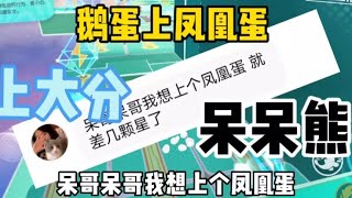 鹅蛋上凤凰蛋 全程高能 无敌呆呆熊#蛋仔派对#呆呆熊【娱八最最前线】