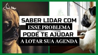 Como adestrar um cão ansioso?