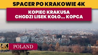 Spacer po Krakowie - Kopiec Krakusa - Panorama Krakowa - Zachód Słońca - Lis w naturalnym środowisku