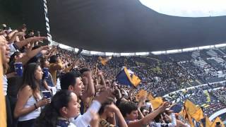 VAMO AURIAZUL  PUMAS 11 MAYO 13 EN EL AZTECA