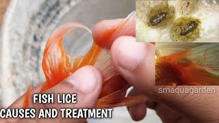 Fish lice treatement | in tamil