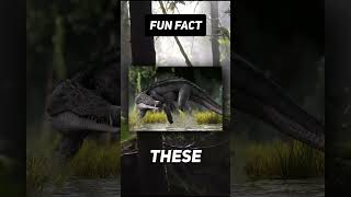 Fun Fact: 🐊💨 How do you out run this? #shorts #viral #facts #nature #animals