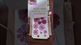 MAGIA con FLORES NATURALES // Eternizar las flores para usarlas en emprendimientos y manualidades.