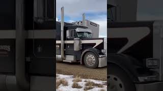 Jaxson Tines #peterbilt379  #livestock #cattlehauler