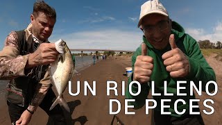 UN RÍO LLENO DE PECES            #shorts