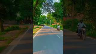 Village Vlog Short Vedio| #vlog #villagelifestyle #trendingshorts