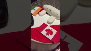 My friend going to Canada 🇨🇦 | Cake | Punjab