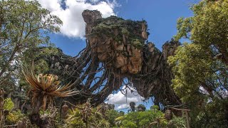 Experience the Magic of Disney's Animal Kingdom: A Complete Tour